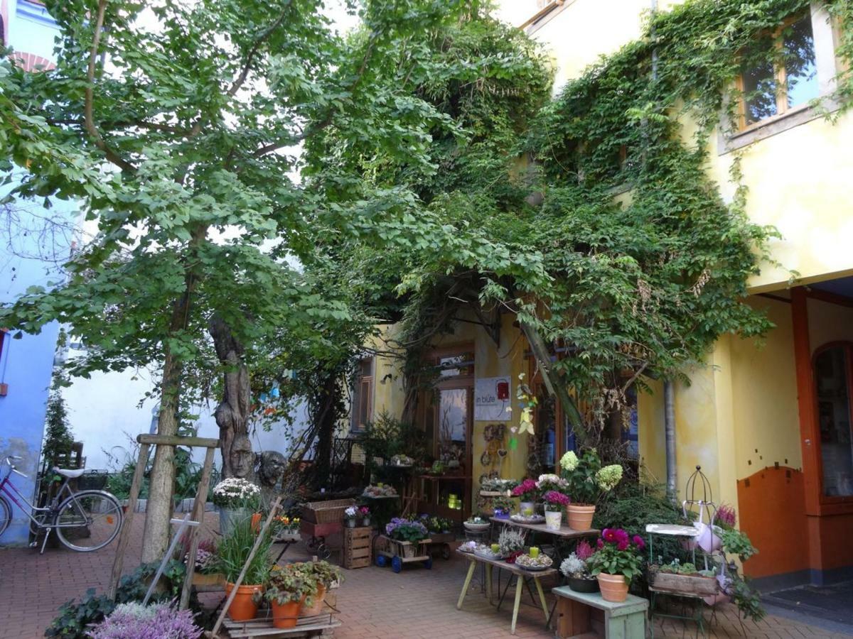 Kunsthofperle Apartment Dresden Ngoại thất bức ảnh